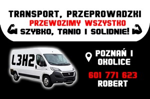 Transport busem Poznań, Wielkopolska